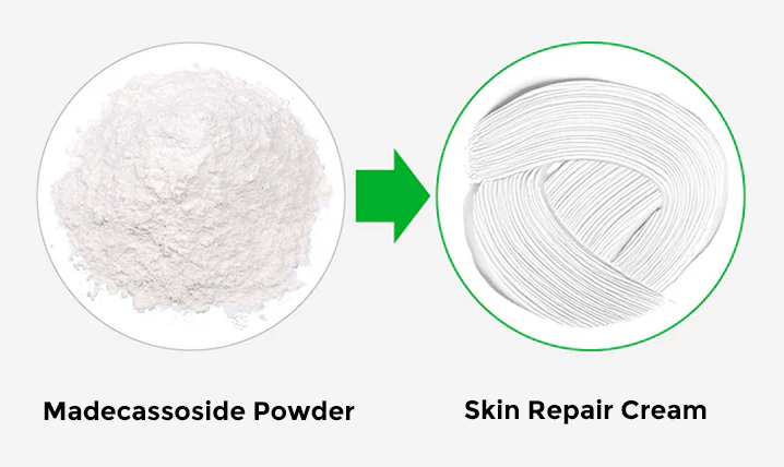 What Is Madecassoside Powder and How Does It Help Skin Repair?